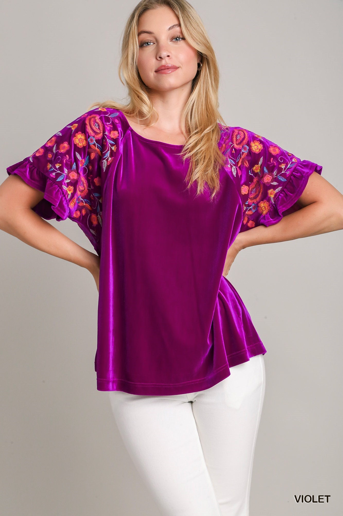 Velvet Embroidery Short Ruffle Sleeve Top